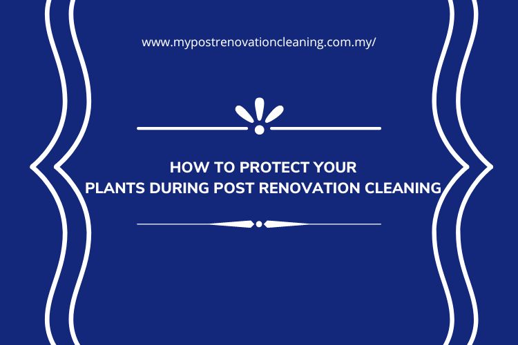 How to Protect Your Plants During Post Renovation Cleaning